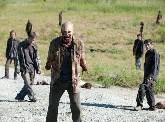 The Walking Dead The Walking Dead
